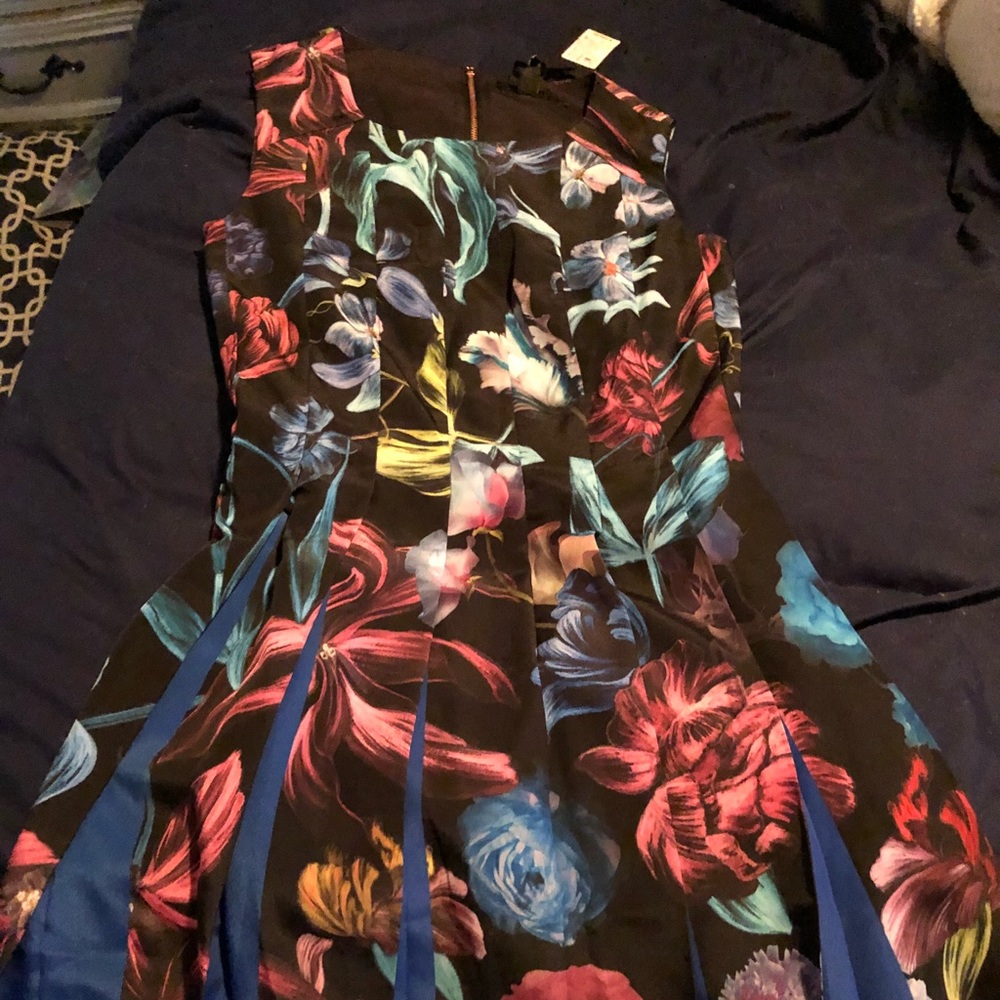 Ted Baker Dress - Size 0 NWT